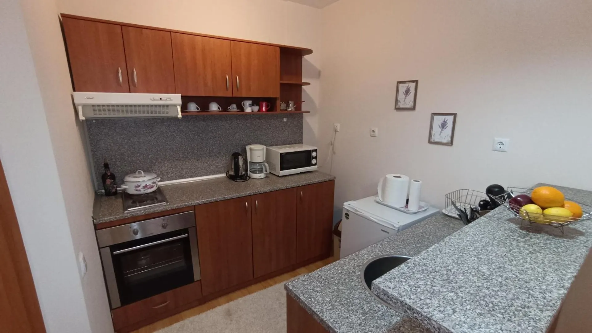 Predela 1 Apartment Bansko Bulgaria